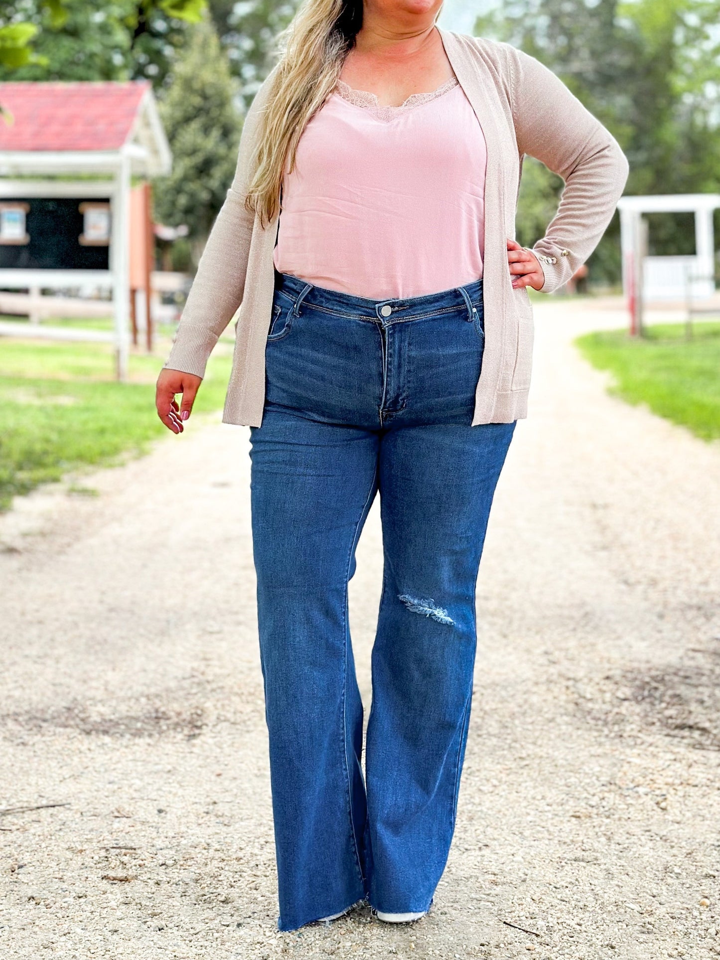 Risen Low Rise Dark Wash Distressed Flare Jeans