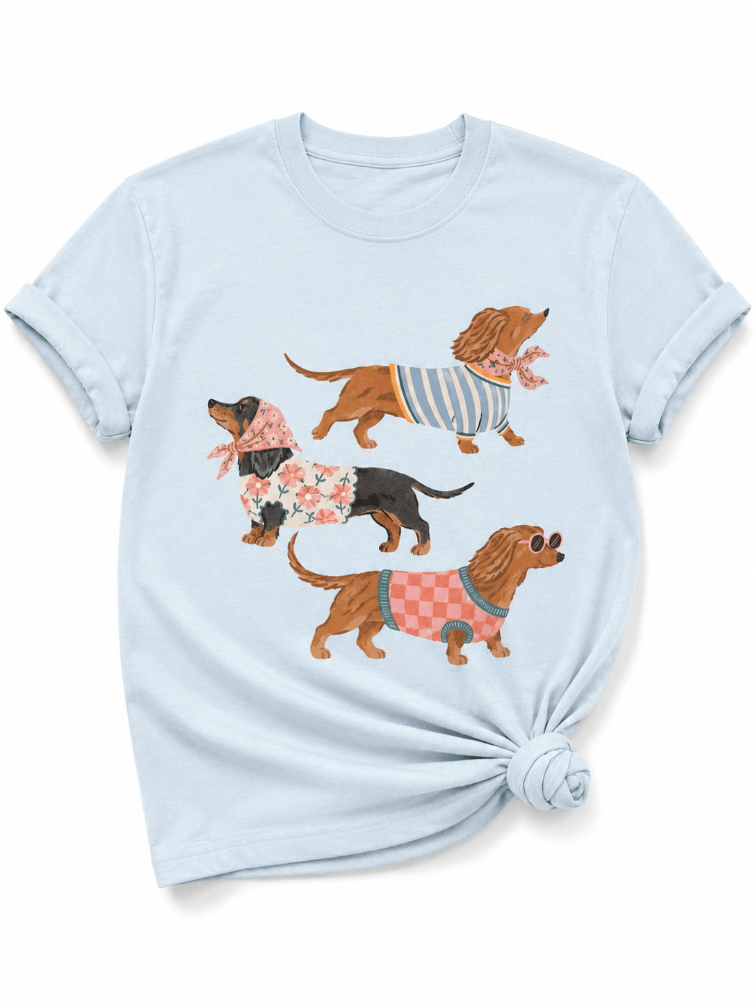 Plus/Reg Short Sleeve Glam Weiner Dog Graphic Tee - Freckled Poppy
