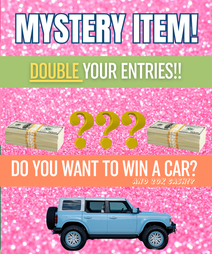 DOUBLE ENTRY MYSTERY ITEM