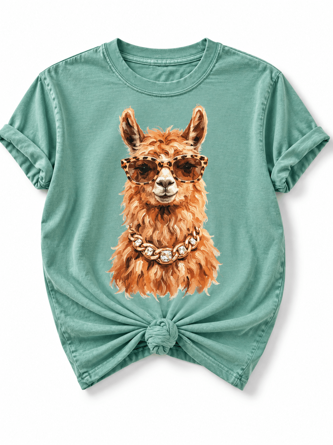 Plus/Reg Short Sleeve Glam Llama Graphic Tee - Freckled Poppy