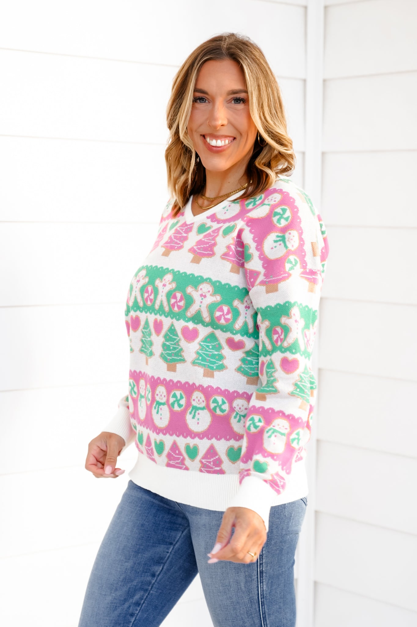 Plus/Reg Christmas Pattern Long Sleeve V Neck Sweater