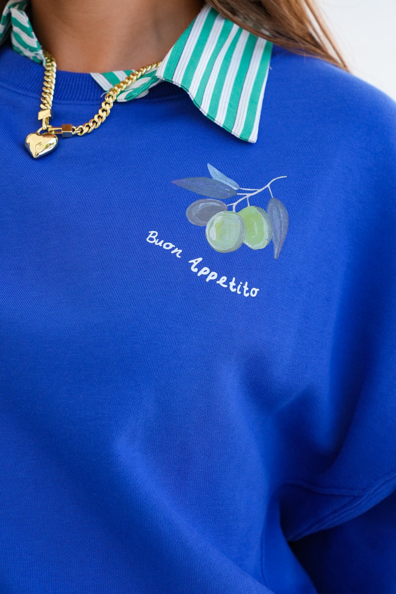 Long Sleeve Crew Neck Sweatshirt with Fruit and Lobster "Buon Appetito"