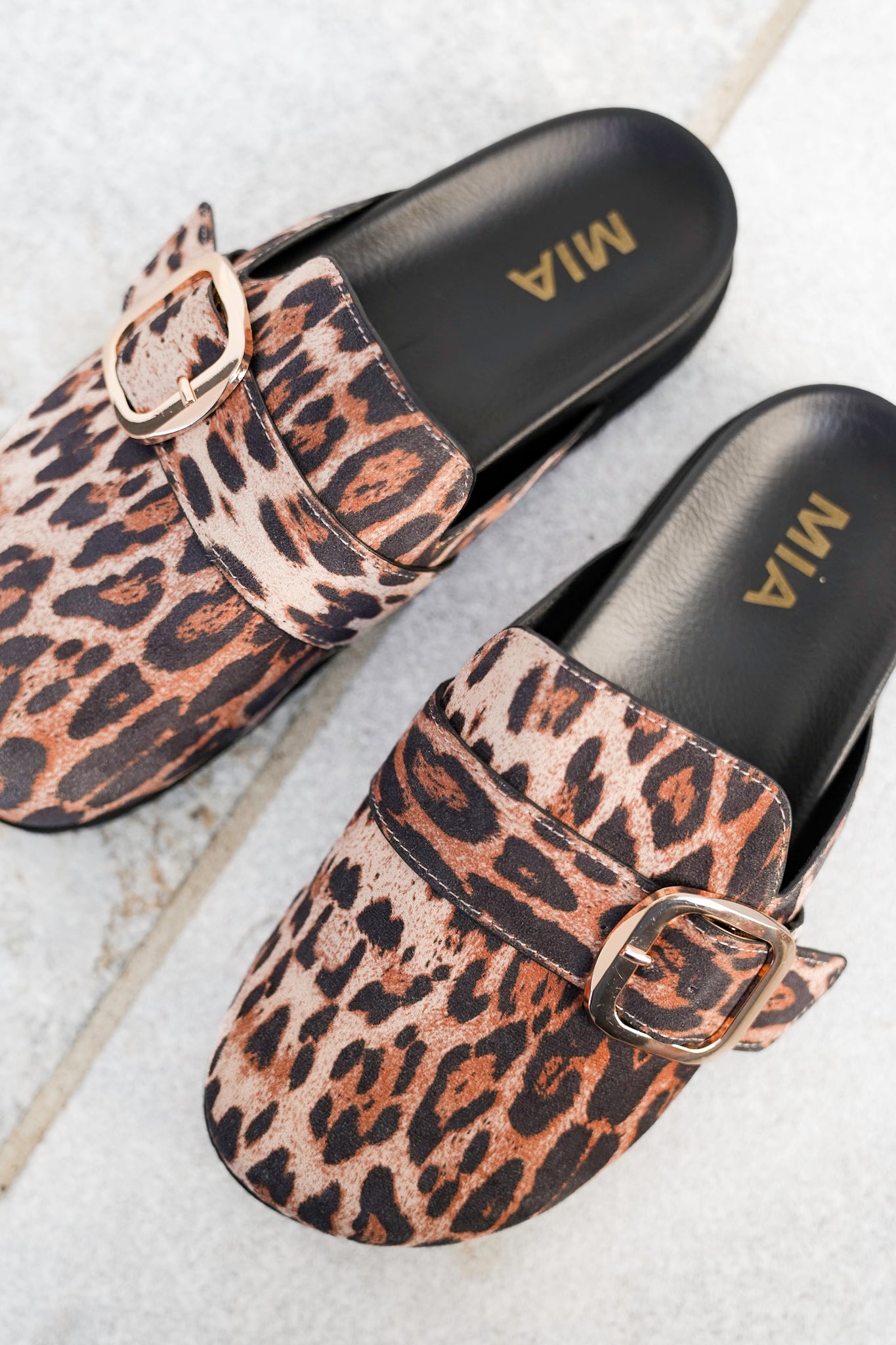MIA Animal Print Slip On Clog with Buckle Detail