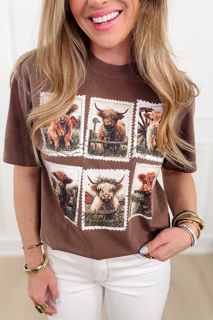 Plus/Reg Short Sleeve "Cow Vintage Stamps" Graphic Tee - Freckled Poppy