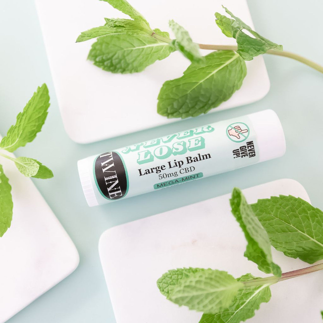Twine Never Lose Large Lip Balm *Final Sale*
