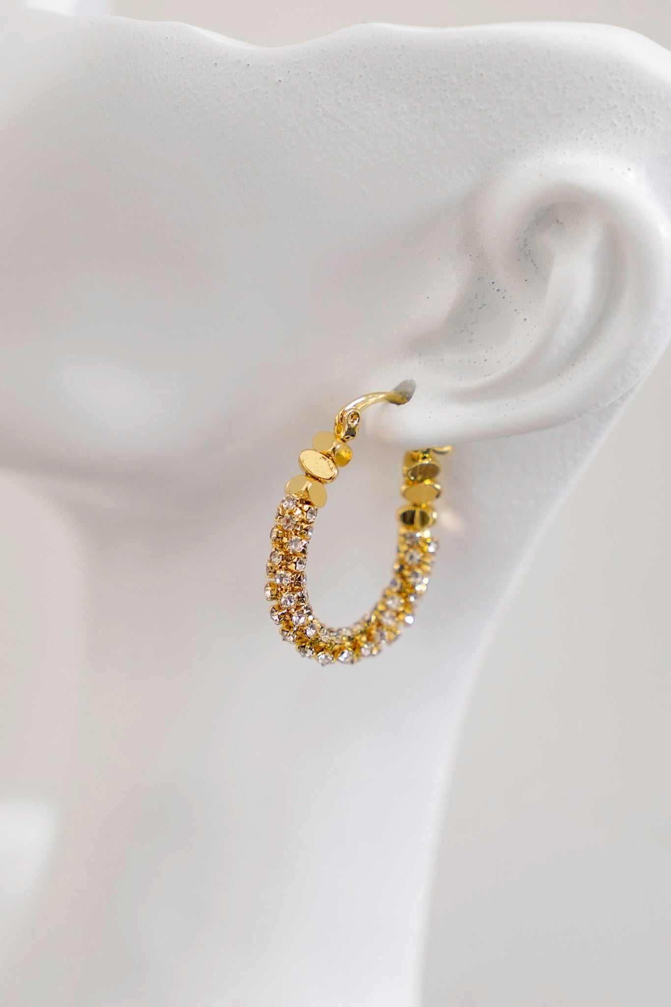 Treasure Jewels Oval Glam Earrings