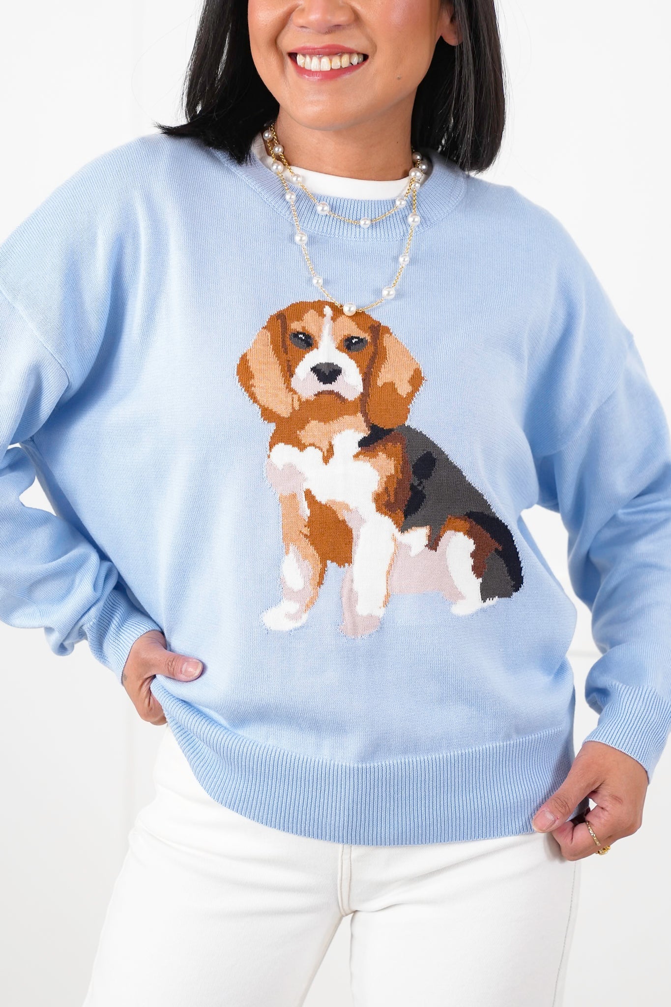 Long Sleeve Crew Neck Knit Sweater with "Beagle" Detail