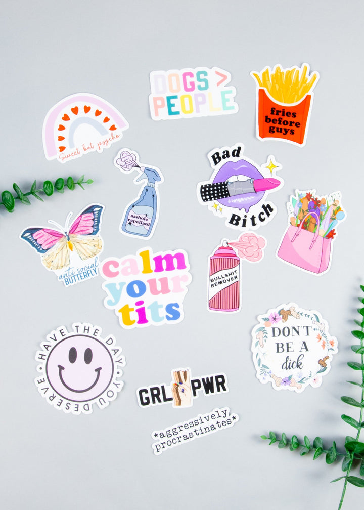 Snarky Stickers (Multiple Options)