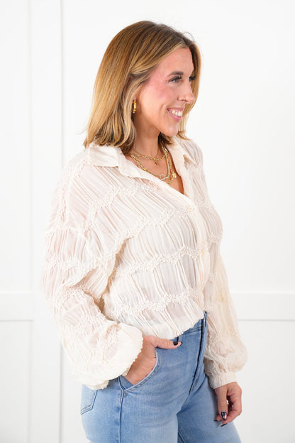 Textured Sheer Long Sleeve Button Down Blouse