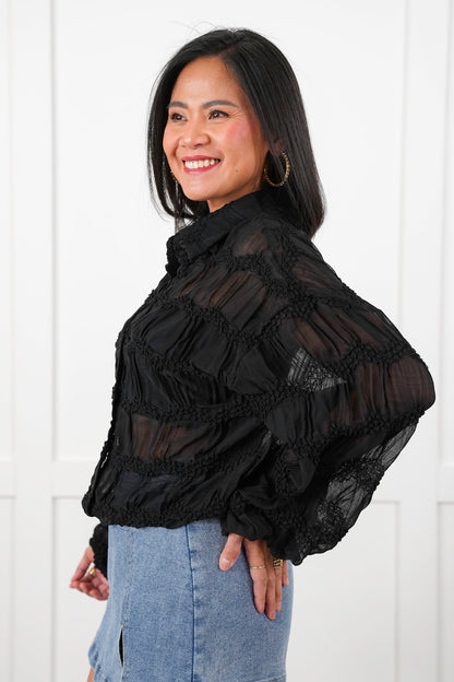 Textured Sheer Long Sleeve Button Down Blouse
