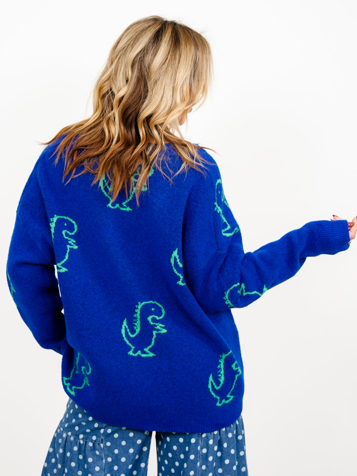 Plus/Reg Dinosaur Pattern Button Down Cardigan With Pockets