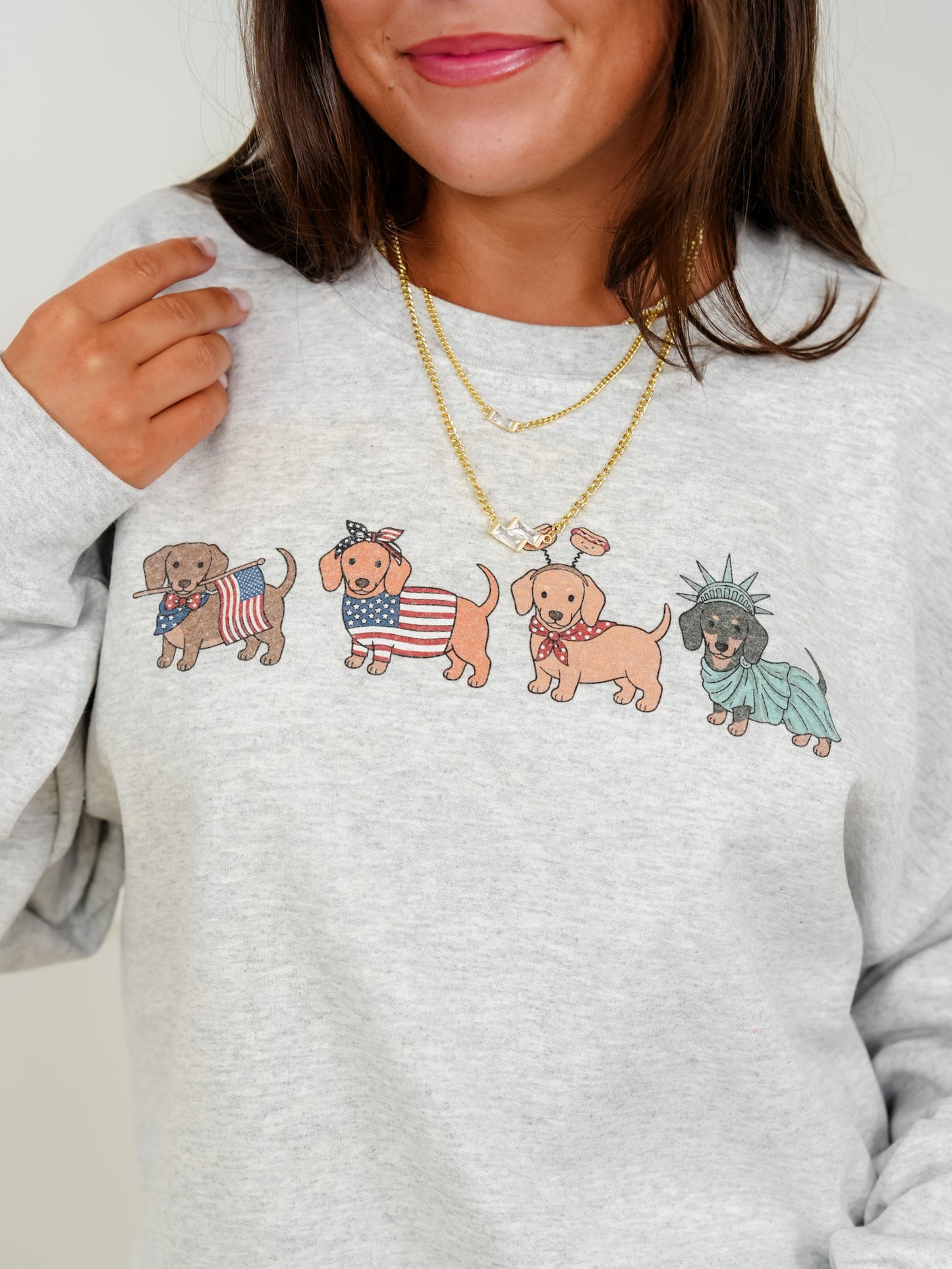 Plus/Reg Long Sleeve American Dogs Graphic Sweatshirt