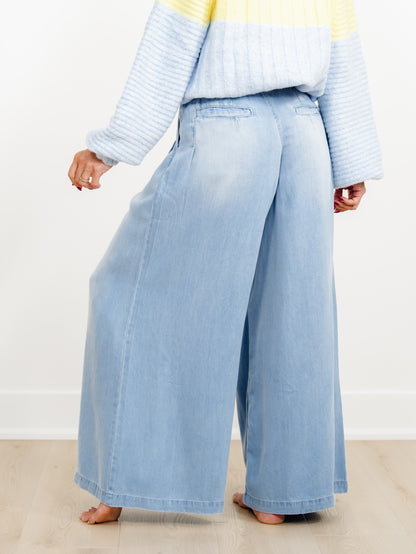 Light Wash Wide Leg Pleated Pants