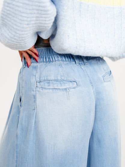 Light Wash Wide Leg Pleated Pants