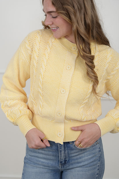Knit Long Sleeve Button Down Cardigan