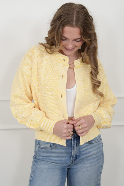 Knit Long Sleeve Button Down Cardigan