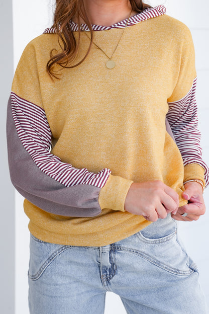 Plus/Reg Color Block Long Sleeve Hoodie with Stripes