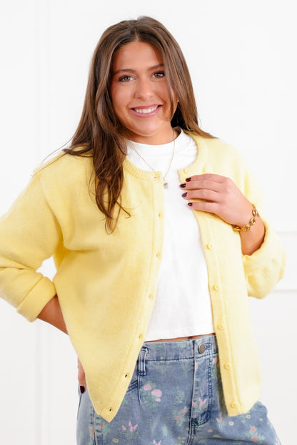 Knit Long Sleeve Button Down Cardigan