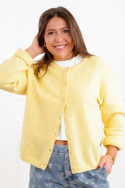 Knit Long Sleeve Button Down Cardigan