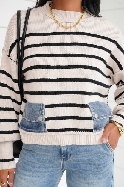 Plus/Reg Striped Crew Neck Sweater with Denim Pockets