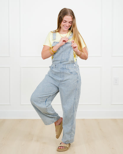 Plus/Reg Stripe Pattern Barrel Leg Overalls