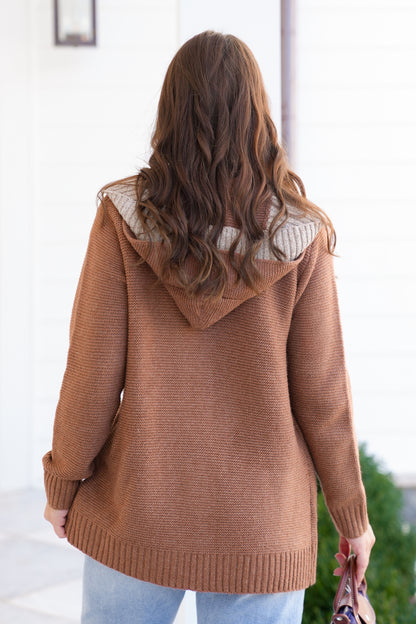Hooded Long Sleeve Double Layer Cardigan Sweater