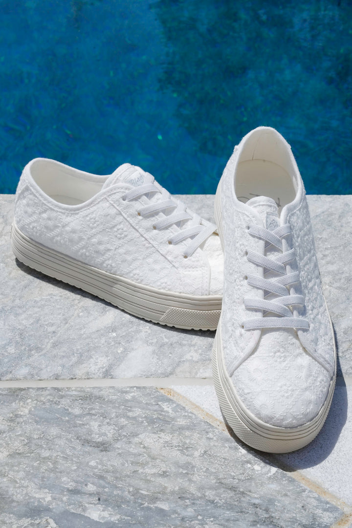Restock! Blowfish Lace Up Sneaker with Embroidered Detailing