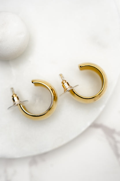 Treasure Jewels Luxe Dome Hoops