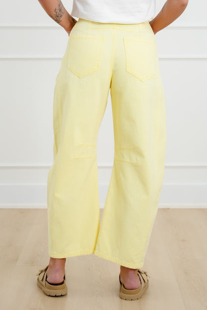 Wash High Waist Barrel Pants with Belt