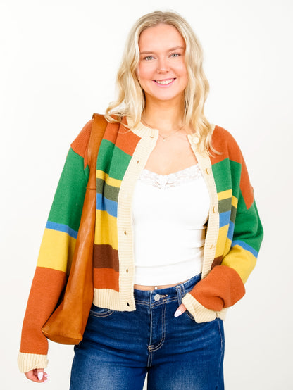 Multi Colored Stripe Long Sleeve Button Down Cardigan