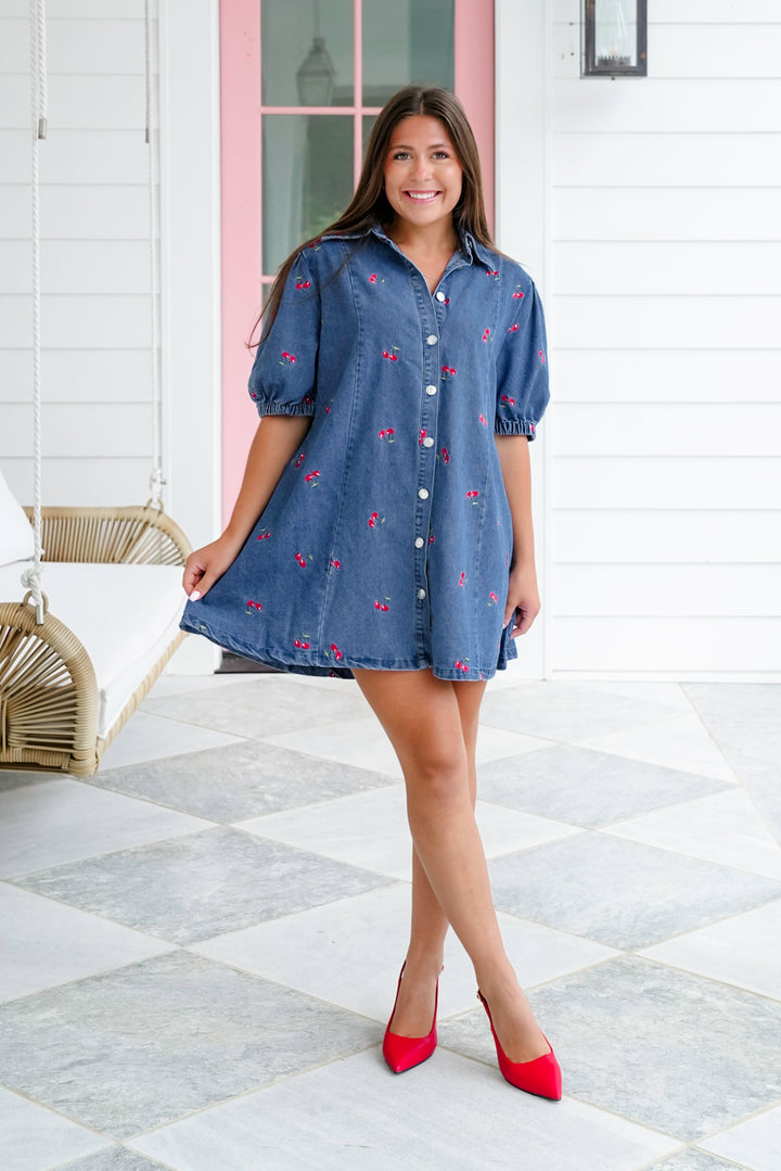 Plus/Reg Short Sleeve Button Down Dress with Embroidered Cherry Detail