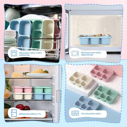 Five Compartment Meal Snack Containers Set