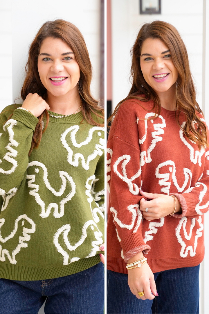 Dinosaur Pattern Long Sleeve Pullover Sweater