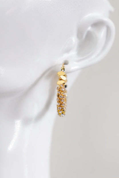 Treasure Jewels Oval Glam Earrings