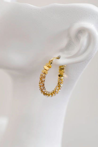 Treasure Jewels Oval Glam Earrings